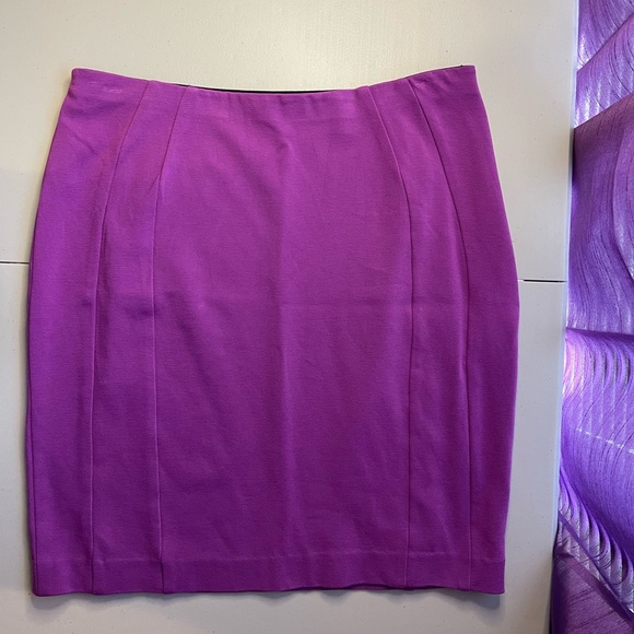 Ann Taylor Dresses & Skirts - Ann Taylor women’s stretchy skirt